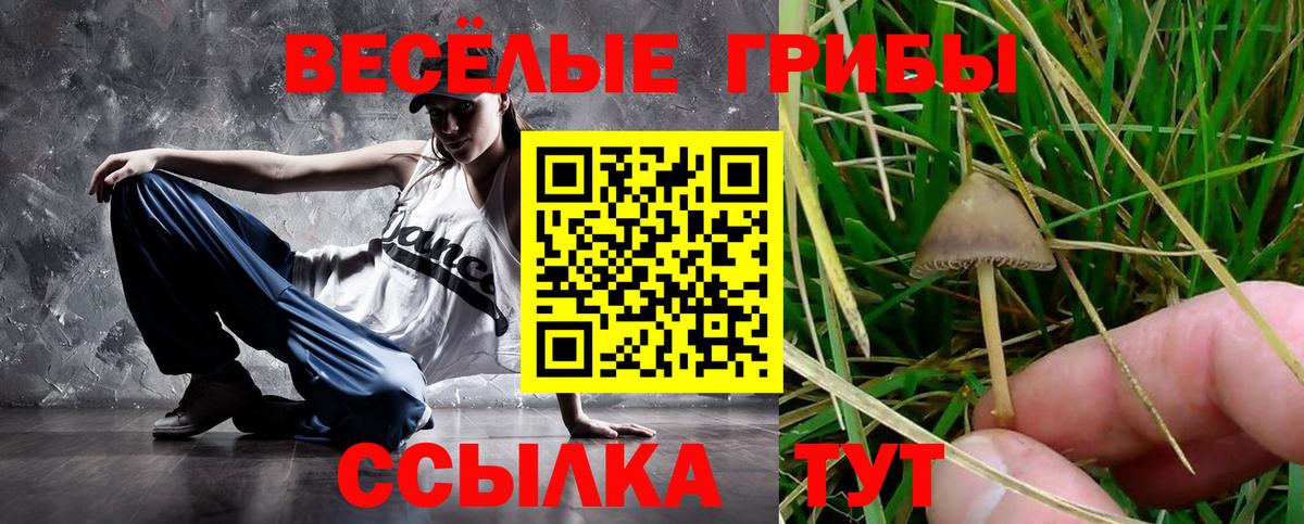 Галлюциногенные грибы мицелий  Псилоцибиновые грибы мухоморы  Вход с VPN  Гагарин 